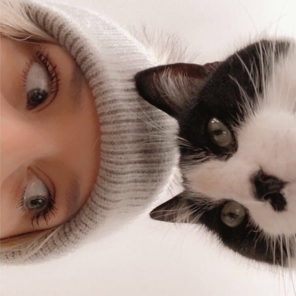 Meet your Posher, Chloe - Picture 1 of 1